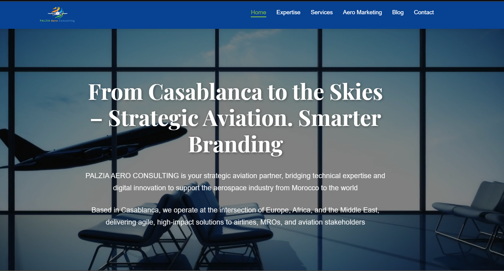 Web site for palziaaeroconsulting